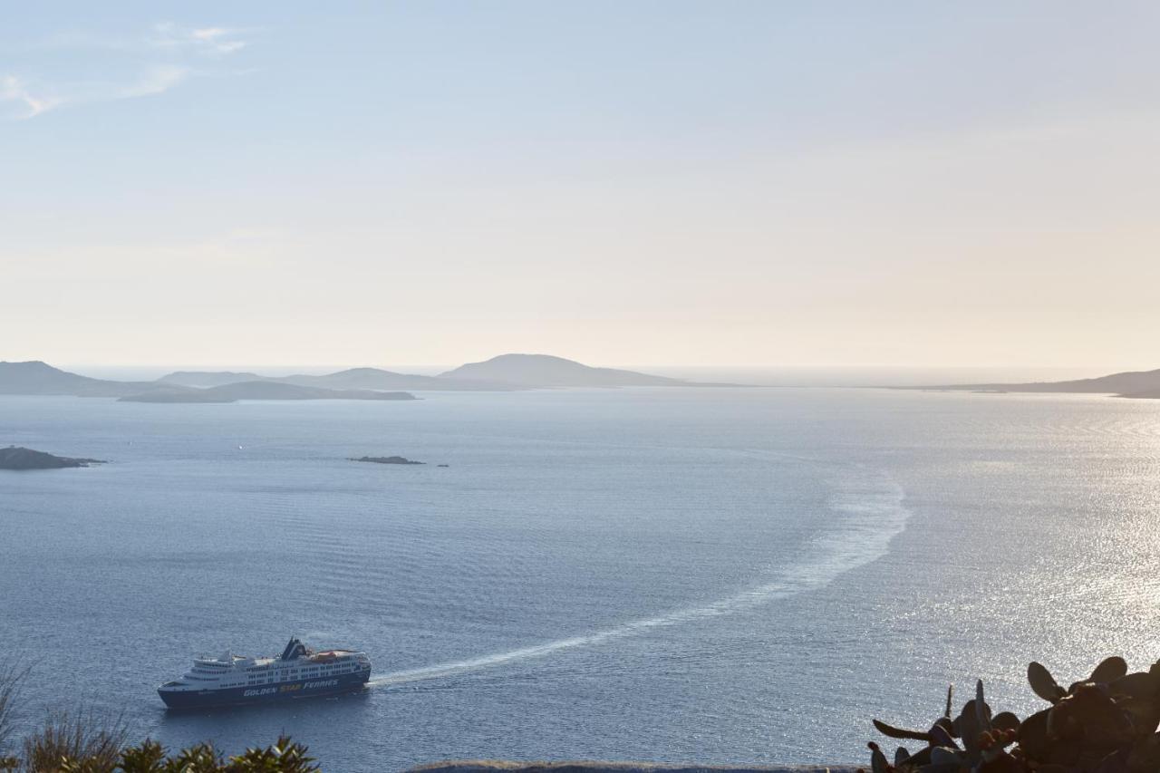 トゥルロス Amare Mykonosヴィラ エクステリア 写真